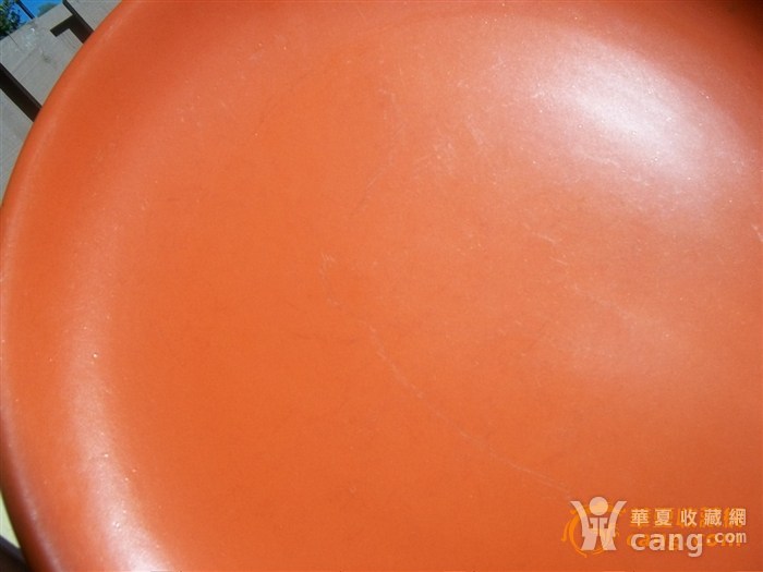 红碟最新，家庭记忆的温馨之旅