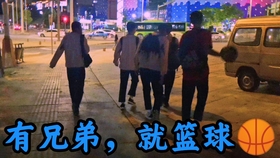 最新杂乱合集，家的温馨与友情奇遇的交织乐章