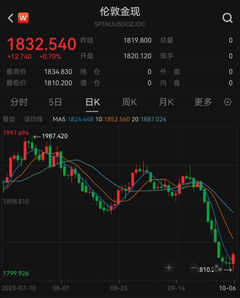 上海交易所黄金价格动态，学习变化，自信闪耀的财富之路