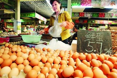 兰州鸡蛋最新行情与温情故事