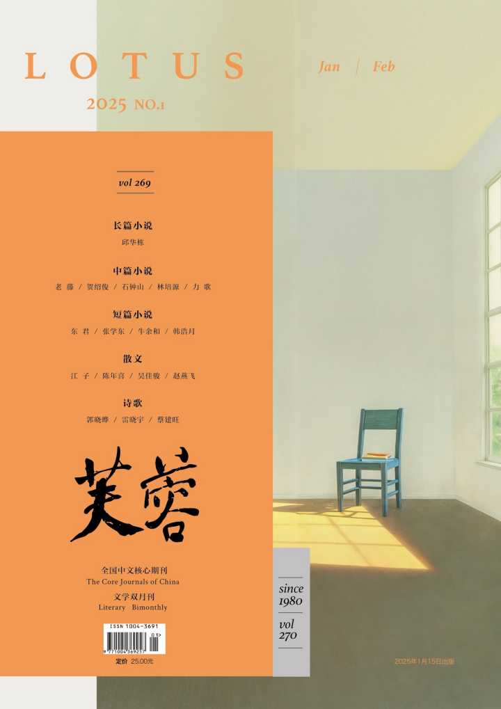 小巷深处的独特故事，精选2025年度小说集