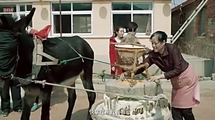 人在驴途，旅途中的温情与欢笑，演员阵容一览