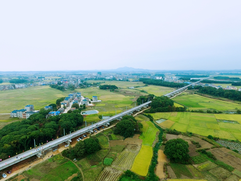 九景衢铁路最新实景图曝光🛤️