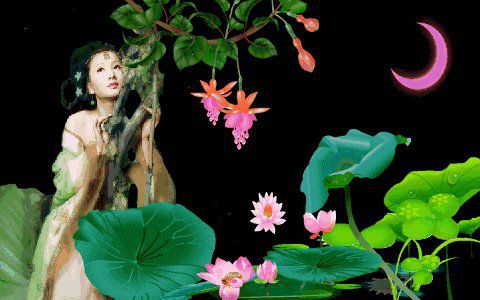 红尘动态，风景与生活的绚烂交织