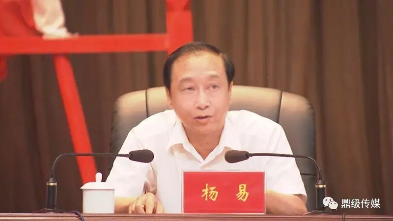 杨易最新论述，多维度视角下的观点深度阐述