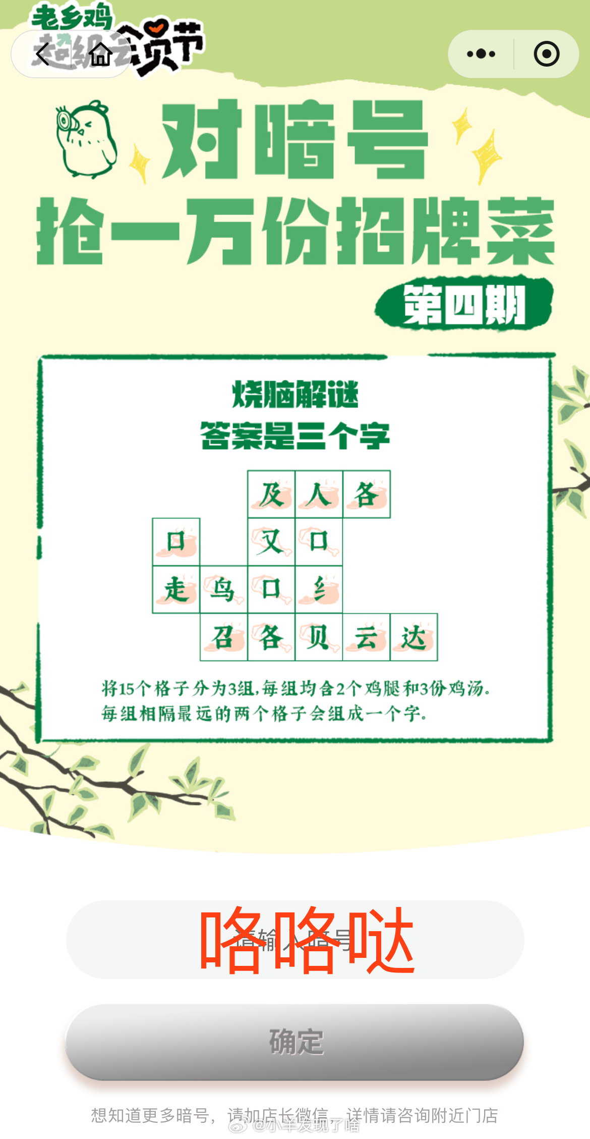 对暗号最新，文化现象的演变与影响探究